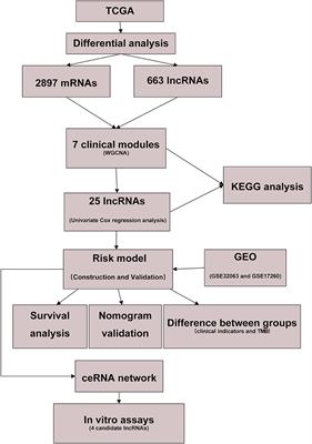 Four Prognosis-Associated lncRNAs Serve as Biomarkers in Ovarian Cancer